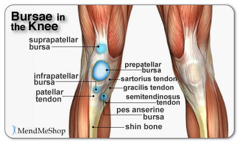 Bursae in the Knee, Knee Bursitis Pain